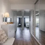Arctic Haven