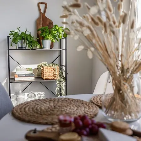 Arctic Haven Rovaniemi